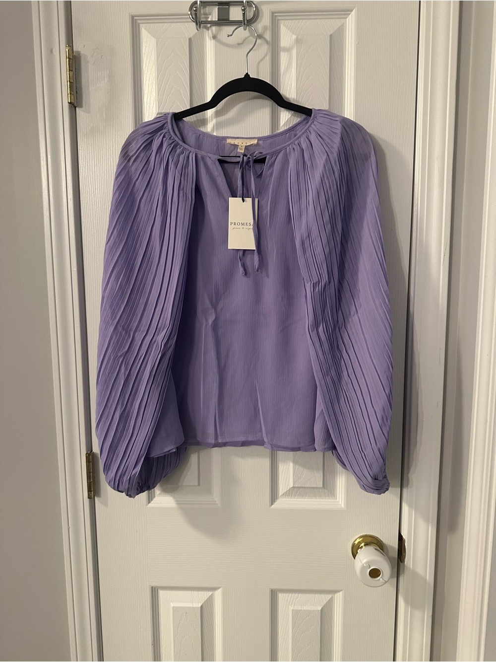 Promesa Lavender Pleated Long-Sleeve Blouse